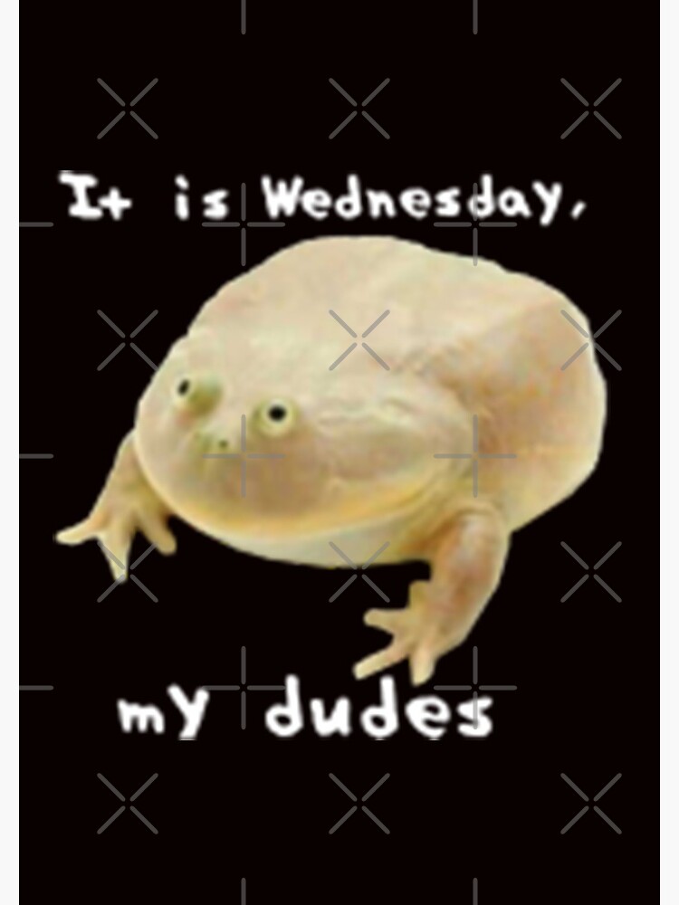 "Wednesday Frog" Spiral Notebook for Sale by myob Redbubble