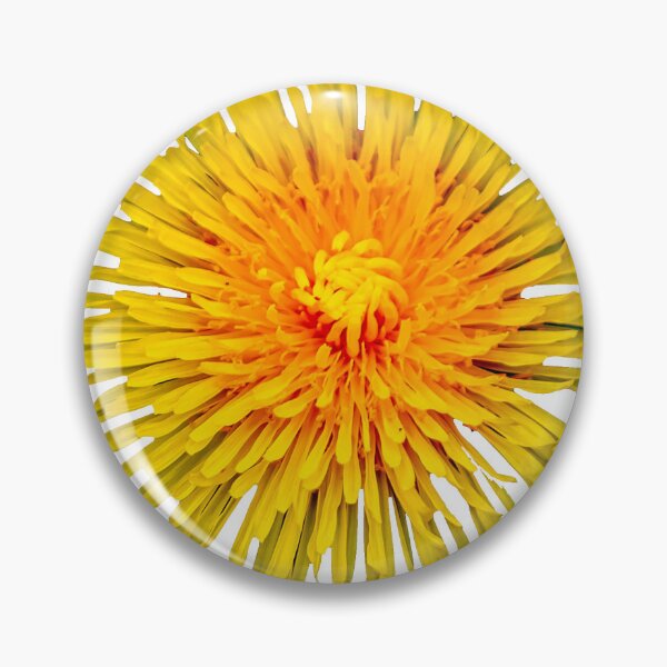 Item preview, Dandelion Spring gold designed and sold by Dalyndigital Photography.