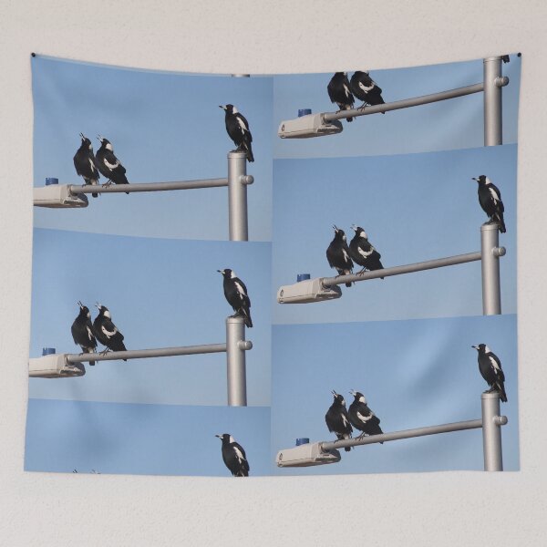 Item preview, Magpies on a street light singing designed and sold by Callumsphotos.