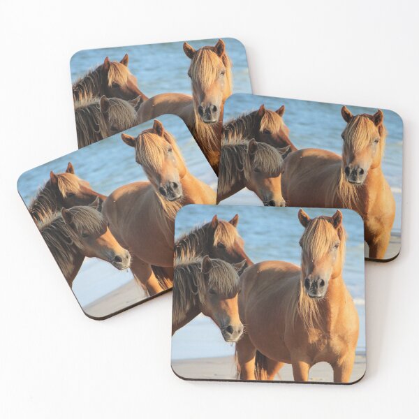 Item preview, Assateague Beach Ponies Series - 01 designed and sold by searchlight.