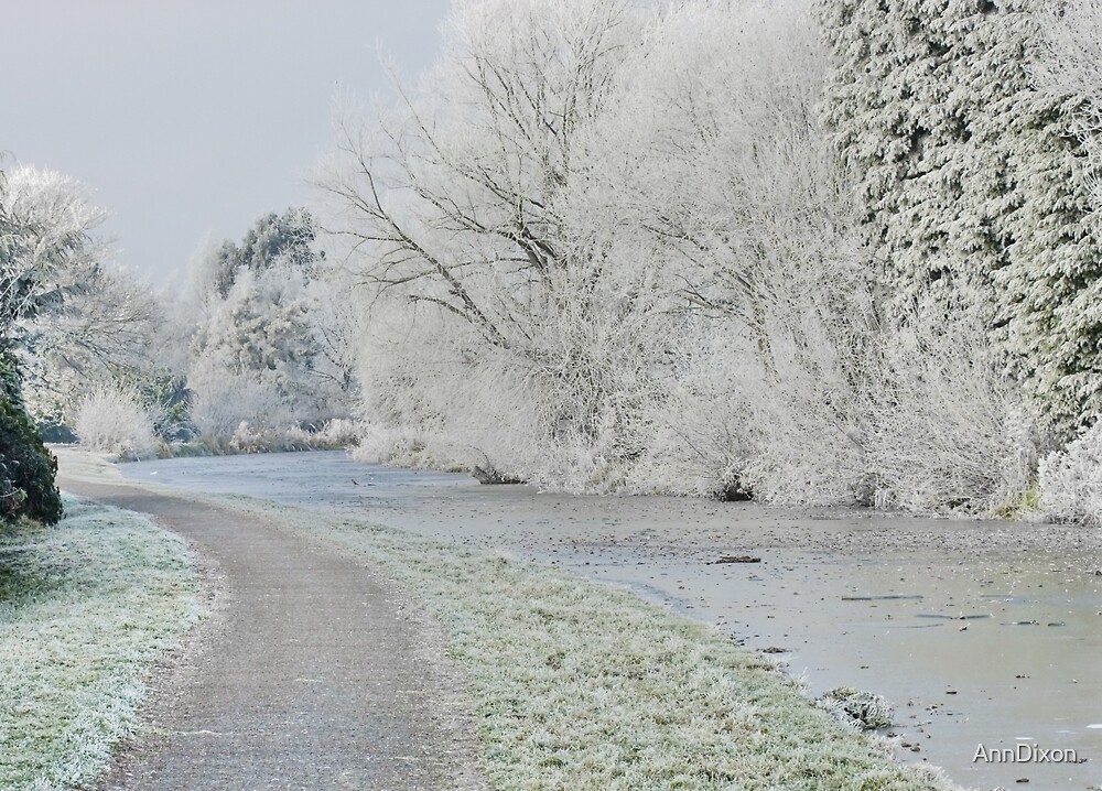 "On a Cold and Frosty Morning !!!!" by AnnDixon | Redbubble