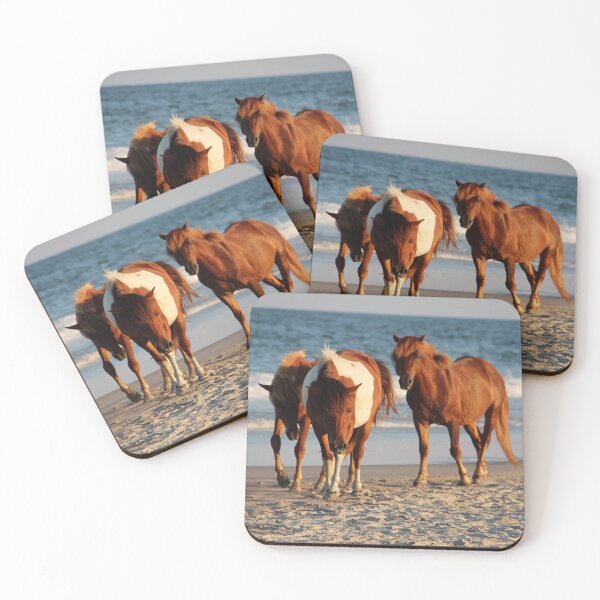 Item preview, Assateague Beach Ponies Series - 02 designed and sold by searchlight.