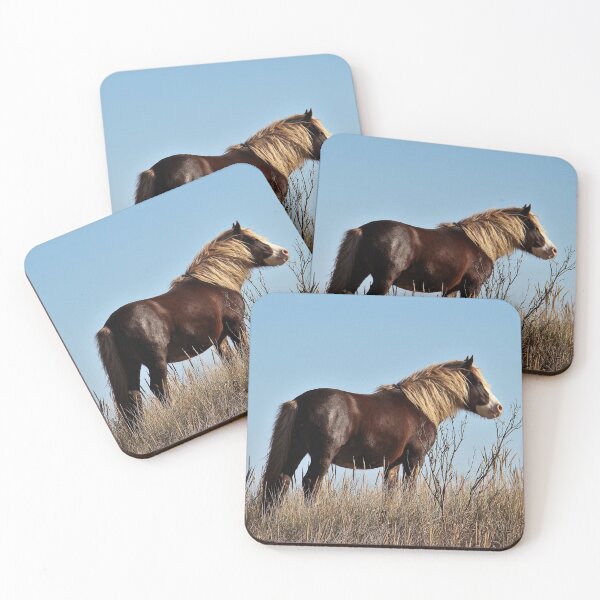 Item preview, Assateague Beach Ponies Series - 03 designed and sold by searchlight.