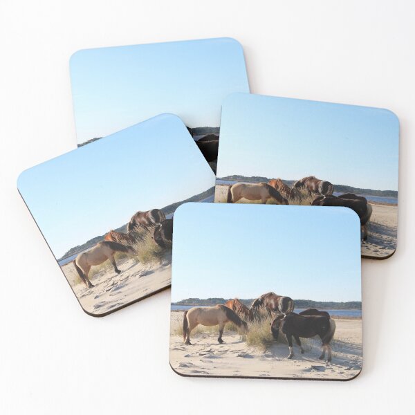 Item preview, Assateague Beach Ponies Series - 04 designed and sold by searchlight.