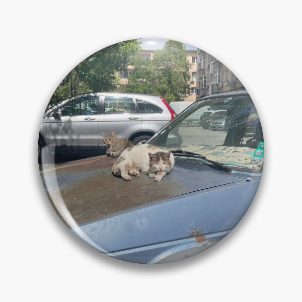 Item preview, A Cat Sleeping on an Old Car  designed and sold by stxqn.