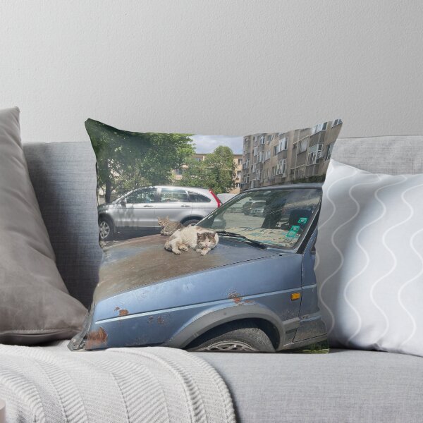 Item preview, A Cat Sleeping on an Old Car  designed and sold by stxqn.