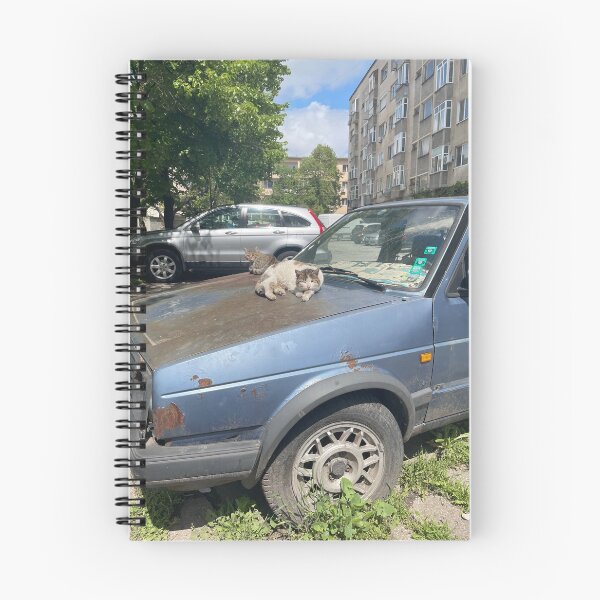 Item preview, A Cat Sleeping on an Old Car  designed and sold by stxqn.