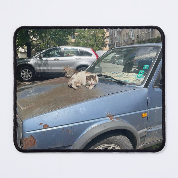 Item preview, A Cat Sleeping on an Old Car  designed and sold by stxqn.