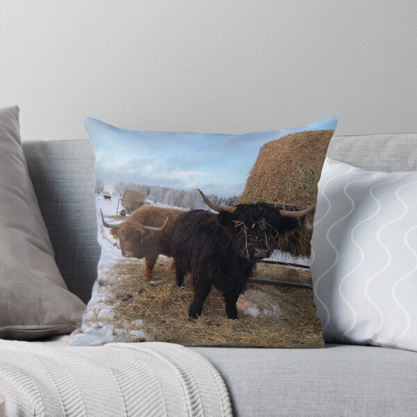 Item preview, Scottish Highland Cattle Cows 4225 designed and sold by SaarelaHighland.