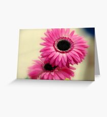 Soooo Pink Greeting Card