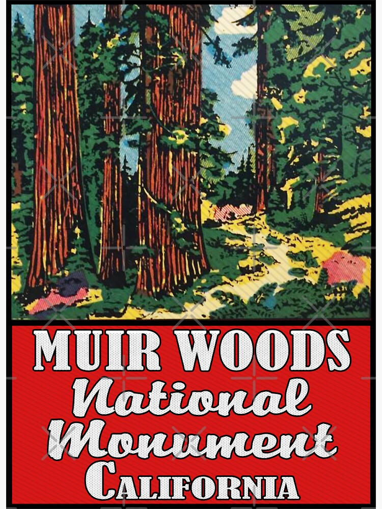 Muir Woods National Monument California Vintage Luggage Travel by MyHandmadeSigns