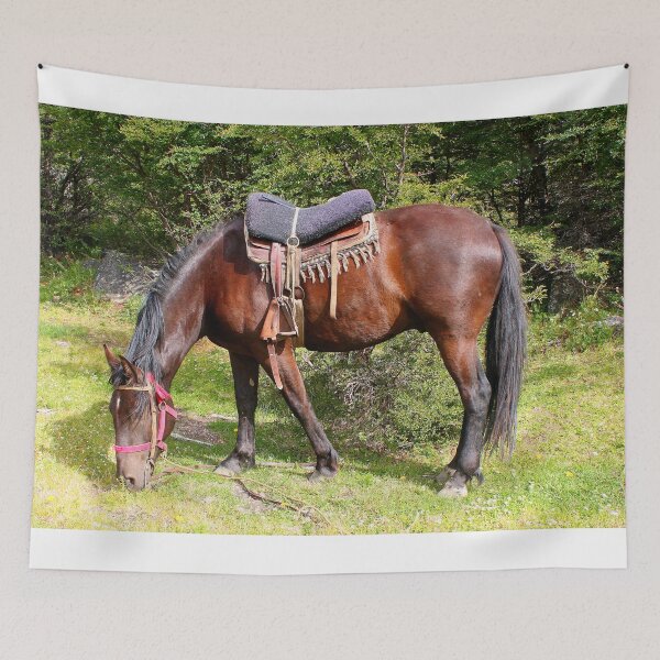 Item preview, Horse near El Chalten, Argentina designed and sold by FranWest.
