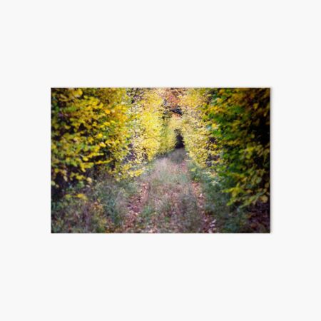 On the way to Grandma's house Art Board Print