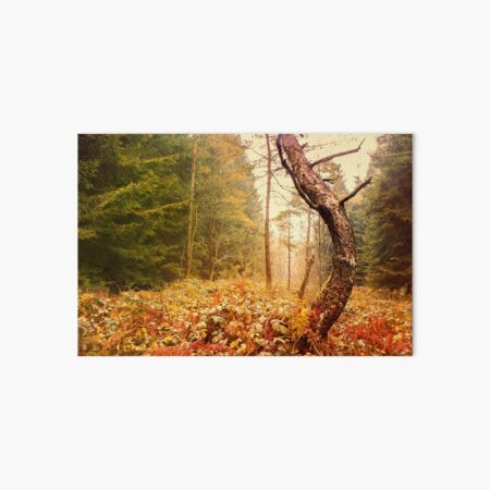 The Autumn Dancing Pine Art Board Print