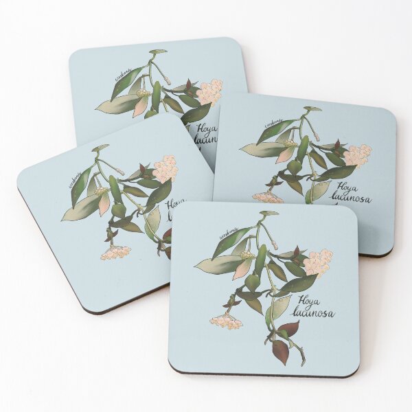 Item preview, Hoya lacunosa in bloom designed and sold by Wieskunde.