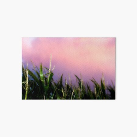 Sweet Corn Sunset Art Board Print