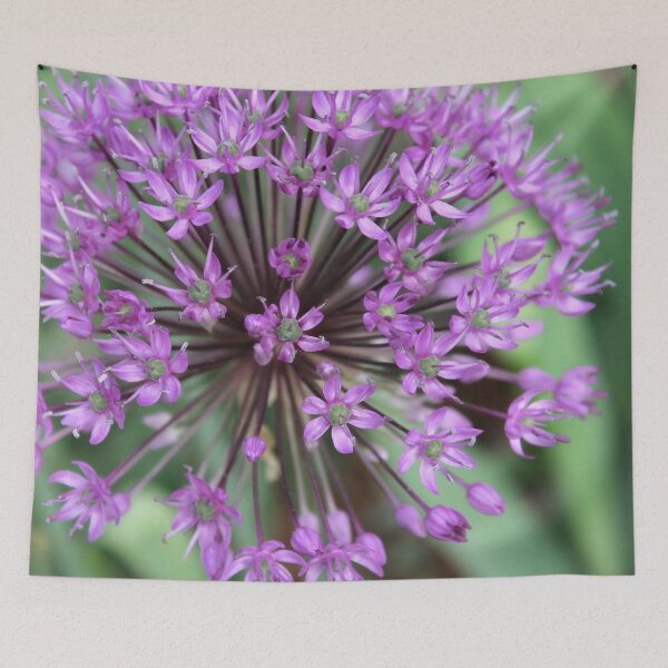 Item preview, Allium designed and sold by mmmMiMi.