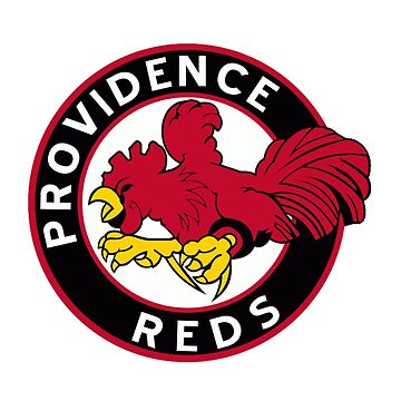 Rhode Island Reds Hockey Tee | Vintage AHL Apparel | Old School Shirts