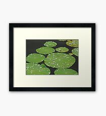 Moments of Stillness Framed Print