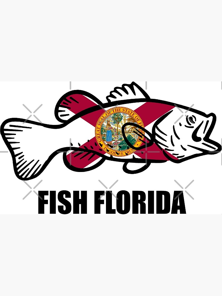 Fish Florida Postcard for Sale by esskay