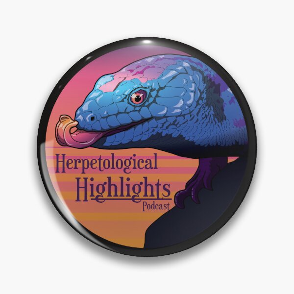 Item preview, Tiliqua scincoides - Blue-tongued Skink designed and sold by HerpHighlights.