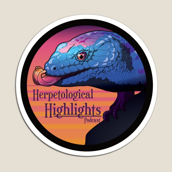 Item preview, Tiliqua scincoides - Blue-tongued Skink designed and sold by HerpHighlights.