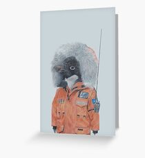 Antarctic Penguin Greeting Card