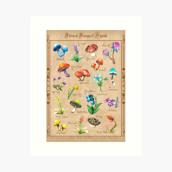 Flora et Funga - BOTW Art Print