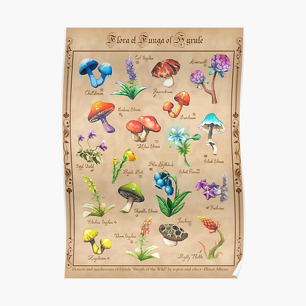 Flore et Champignons - BOTW Poster