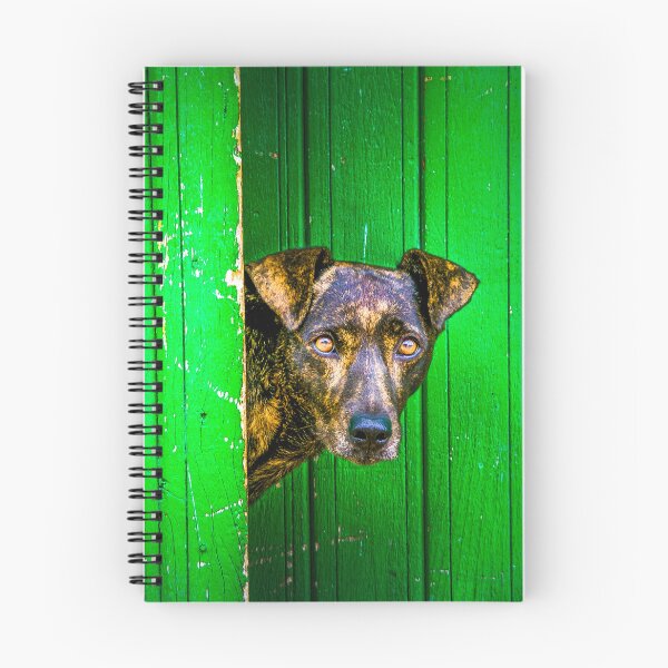 Item preview, Green dog designed and sold by PhotographicAl.