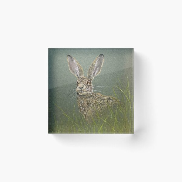 Item preview, Hare in the Long Grass designed and sold by TheArtery2010.