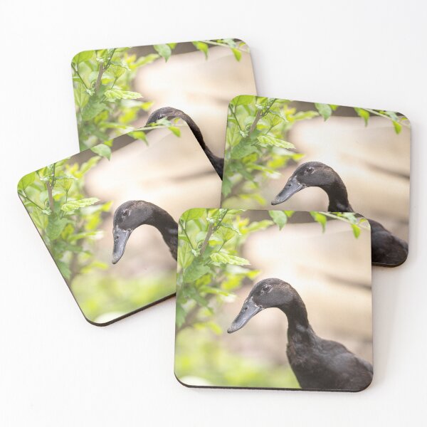 Item preview, Indian runner duck portrait, black farm animal designed and sold by CrunchyCableStudio.