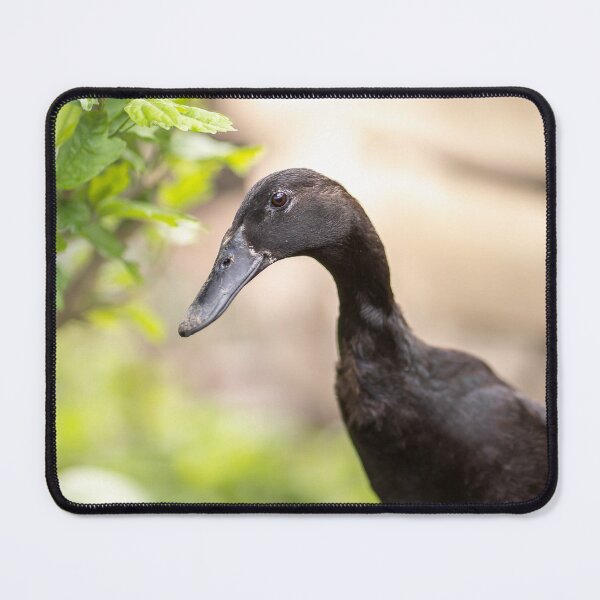 Item preview, Indian runner duck portrait, black farm animal designed and sold by CrunchyCableStudio.