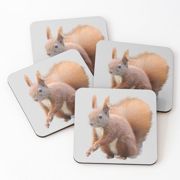 Item preview, Squirrel Sticker Artwork designed and sold by BaristaHero.