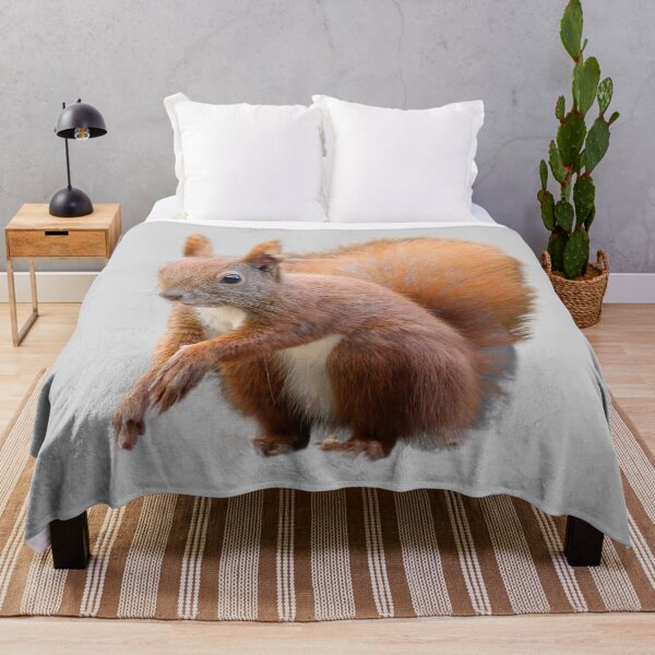 Item preview, Squirrel Sticker Artwork designed and sold by BaristaHero.