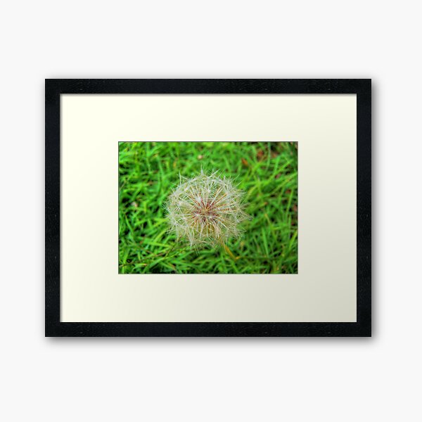 How Dandy!!! Framed Art Print