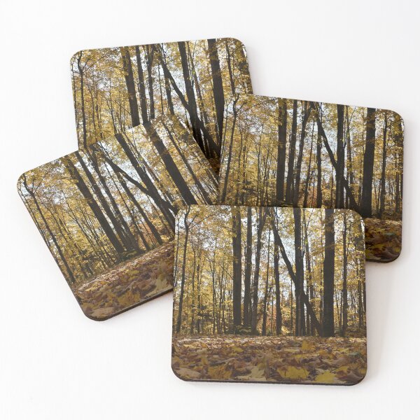 Item preview, A maple grove in the fall designed and sold by Claude Laprise.