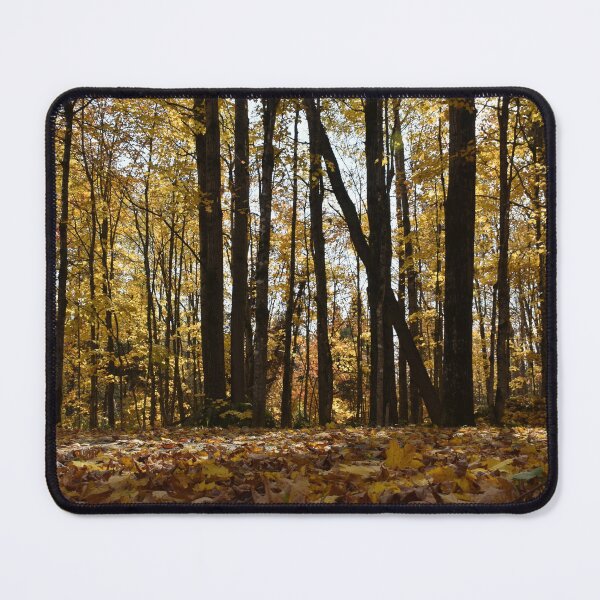 Item preview, A maple grove in the fall designed and sold by Claude Laprise.