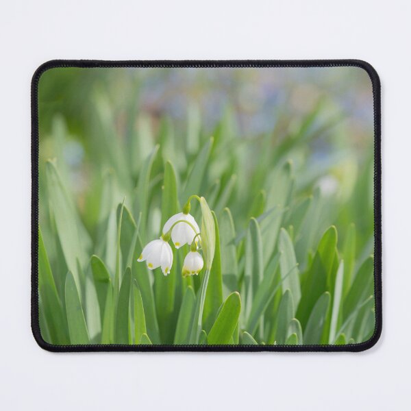 Item preview, Snow Drops designed and sold by Cathy Donohoue.