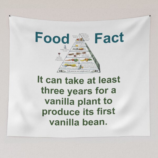 Item preview, It Can Take At Least Three Years - Food Fact designed and sold by CrankyOldDude.