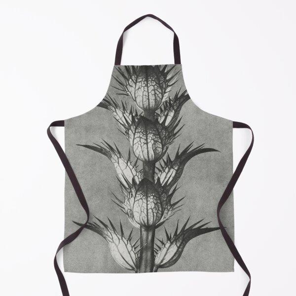 Item preview, Acanthus Mollis (Bear's Breeches) Vintage Botanical Print by Karl Blossfeldt designed and sold by Pretty Pixel.