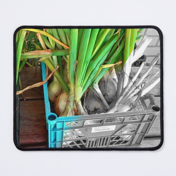 Item preview, The box of the onions from summer farm designed and sold by NaitoDiamond.