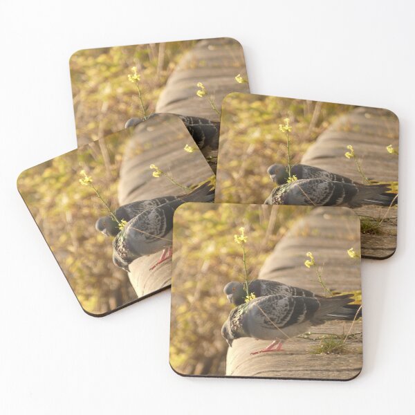 Item preview, Pigeons on the riverside designed and sold by Rian Hamitouche.