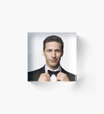 Andy Samberg Acrylic Block