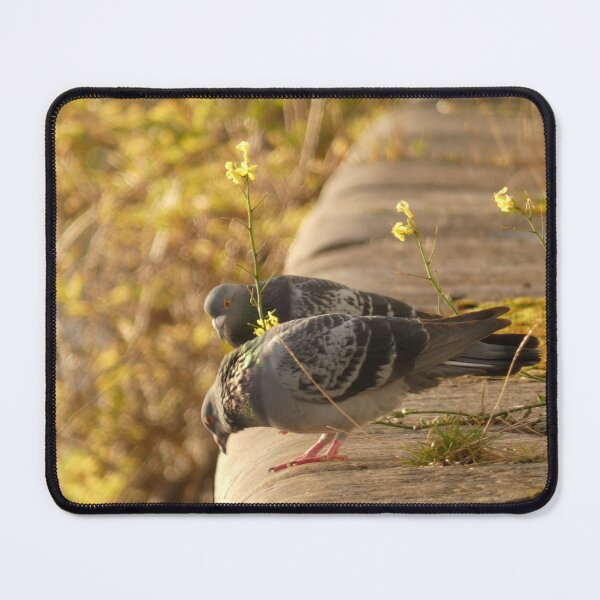 Item preview, Pigeons on the riverside designed and sold by RianHam.