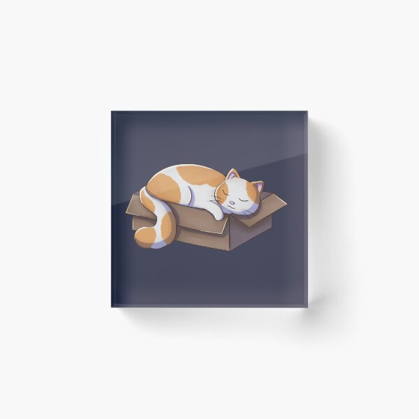 Cat Sleeping In Box Acrylic Block