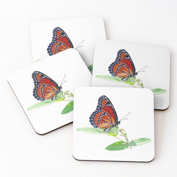 Item preview, Viceroy Butterfly designed and sold by Dalyndigital Photography.