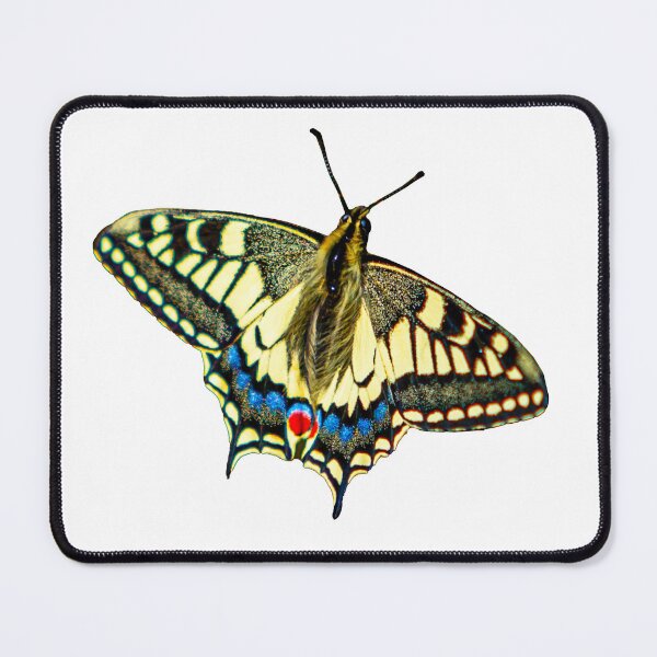 Item preview, Swallowtail Butterfly designed and sold by Dalyndigital Photography.