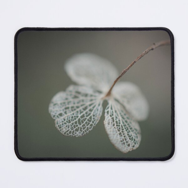 Item preview, Dried Hydrangea designed and sold by SofiaAlves.
