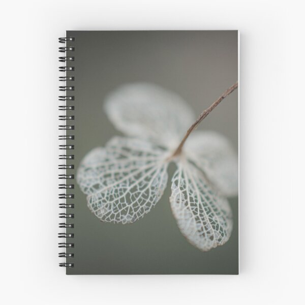 Item preview, Dried Hydrangea designed and sold by SofiaAlves.
